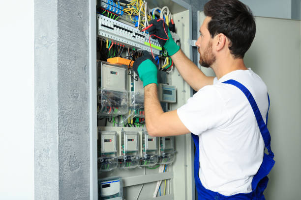 Best Electrical Repair Services  in La Grulla, TX