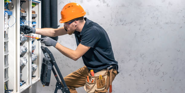 Best Local Electrician Companies  in La Grulla, TX