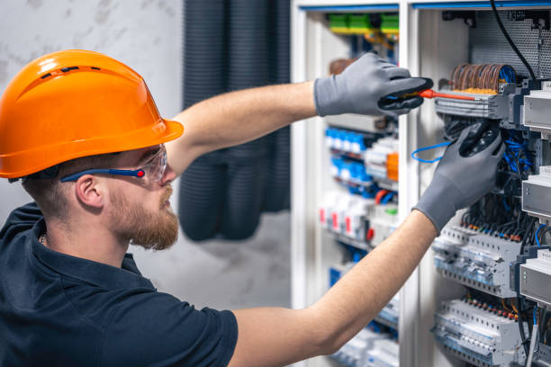 Best Local Electrician Companies  in La Grulla, TX
