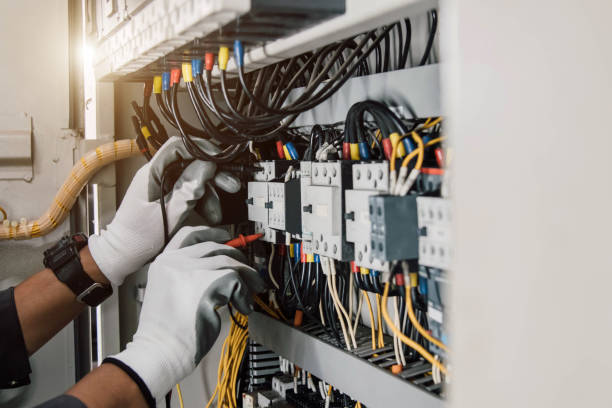 Best Electrical Repair Services  in La Grulla, TX